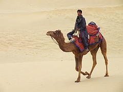 jaisalmer (271)